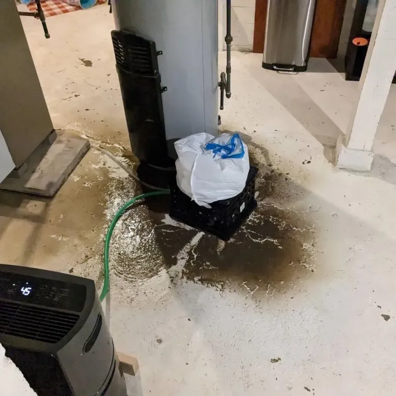Sewage Backup Cleanup Service in Leominster, MA